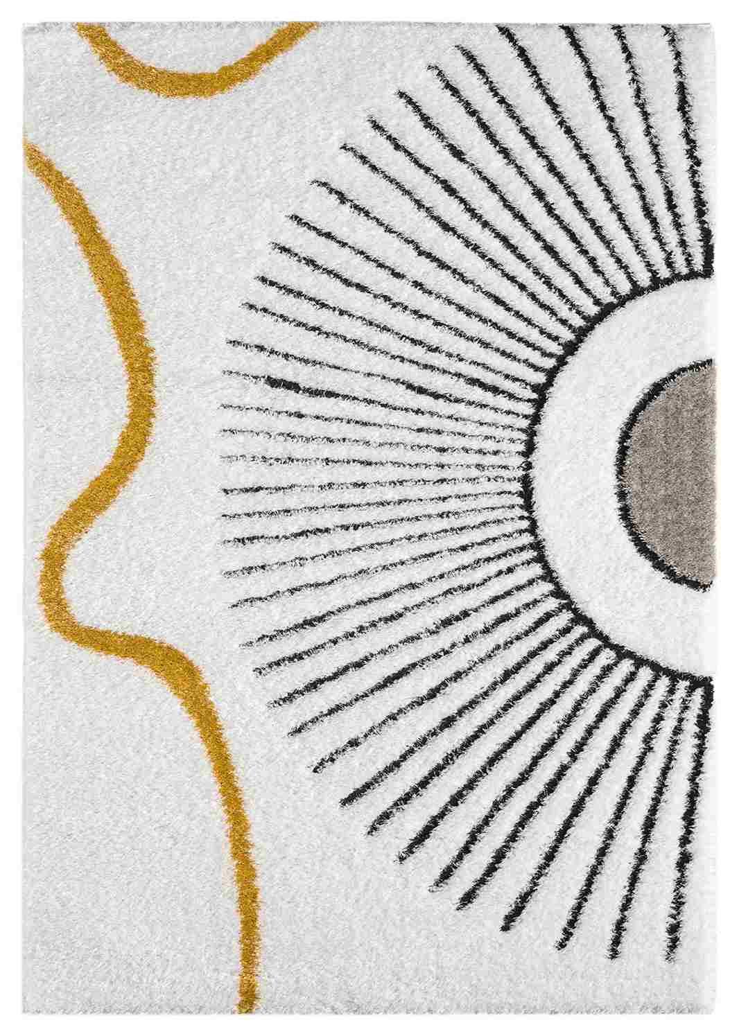 5D SHAGGY RUG COLLECTION Image